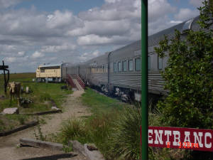 dsc05328.jpg