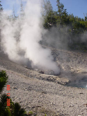 dsc05482.jpg