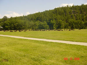 dsc05565.jpg