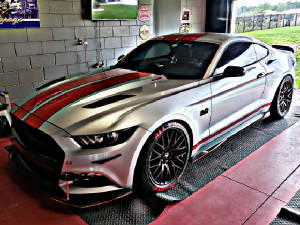 mustang11.jpg