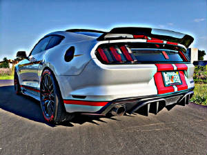 mustang71.jpg