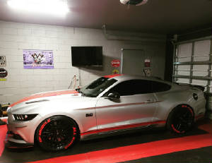 mustang81.jpg
